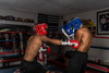 TITLE Boxing Headgear and Groin Protector Bundle