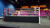 PROLAST 20'X 20' FIGHT NIGHT Boxing Ring