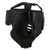 TITLE Boxing Youth Sparring Bundle