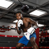TITLE Boxing Spider Bag Set