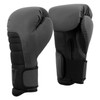 TITLE Boxing Combat Bag Boxing Gloves 2.0