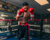 Pro Mex Combatiente Pro Fight Boxing Gloves