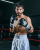 TITLE Boxing Leather Pro Fight Boxing Gloves