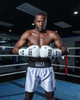 TITLE Boxing Leather Pro Fight Boxing Gloves