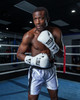 TITLE Boxing Leather Pro Fight Boxing Gloves
