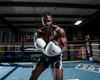TITLE Boxing Great Official Pro Fight Boxing Gloves