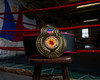 TITLE Boxing Old School Title Belt