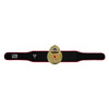 TITLE Boxing Old School Title Belt