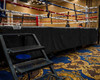 TITLE Boxing Professional Ring Skirt 3.0