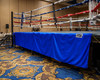 TITLE Boxing Professional Ring Skirt 3.0