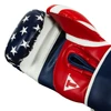 TITLE Boxing Liberty Bag Boxing Gloves