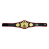 TITLE Boxing Triumphant Wings of Victory Belt