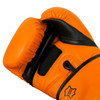 TITLE Boxing Dauntless Training Boxing Gloves