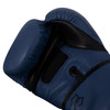 TITLE Boxing Dauntless Training Boxing Gloves