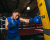 TITLE Boxing Dauntless Training Boxing Gloves