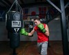 TITLE Boxing Dauntless Training Boxing Gloves