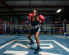 TITLE Boxing Professional Women’s Satin Striped Boxing Trunks