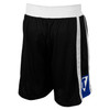 TITLE Boxing Aerovent Elite Amateur Boxing Set 4 v. 2.0