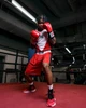 TITLE Boxing Striker Amateur Boxing Set