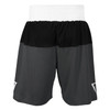 TITLE Boxing Latitude Amateur Boxing Set