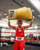 TITLE Boxing Jumbo Boxing Gloves 2.0