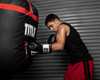 TITLE Premier Leather Super Bag Boxing Gloves 2.0