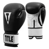 TITLE Premier Leather Super Bag Boxing Gloves 2.0