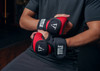 TITLE Boxing Deluxe Weighted Gloves 2.0