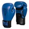 TITLE Boxing Vegan Fitness Bag Boxing Gloves