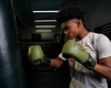 TITLE Boxing Vegan Fitness Bag Boxing Gloves