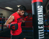 TITLE Boxing Guts and Glory Bag Boxing Gloves