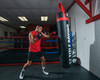 TITLE Boxing Guts and Glory Bag Boxing Gloves