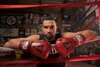 TITLE Boxing Blood Red Leather Sparring Boxing Gloves