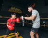 TITLE Boxing Valiant Micro Mitts