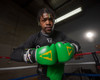 WBC by TITLE Boxing Sparring Boxing Gloves