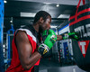 WBC by TITLE Boxing Pro Fight Leather Boxing Gloves