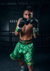 WBC by TITLE Boxing Professional Boxing Trunks
