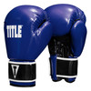 TITLE Boxing Instinct Fitness Bag Boxing Gloves