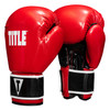 TITLE Boxing Instinct Fitness Bag Boxing Gloves