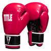 TITLE Boxing Instinct Fitness Bag Boxing Gloves