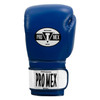 Pro Mex Professional Bag Boxing Gloves V3.0