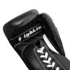Fighting Fearless Certified Pro Fight Boxing Gloves II