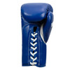 Fighting Fearless Certified Pro Fight Boxing Gloves II