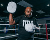 TITLE White Punch Mitts 2.0