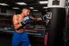 TITLE Boxing Inside Fighting Resistance Trainer