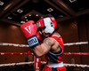 TITLE Boxing Aerovent Elite USA Boxing Competition Headgear – With Cheeks