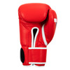 Fighting Fury Professional Training Boxing Gloves