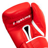 Fighting Fury Professional Training Boxing Gloves