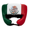 TITLE Boxing USA Boxing Competition Headgear - With Cheeks
