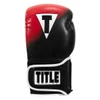 TITLE Boxing Speed-Trax Weighted Bag Boxing Gloves